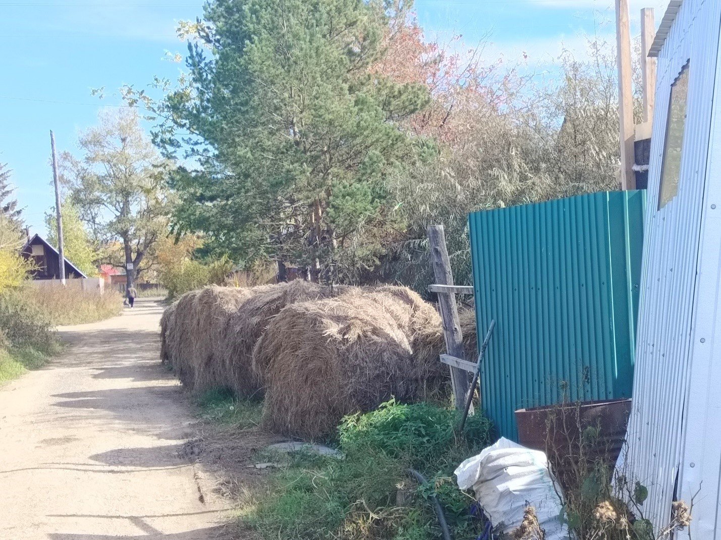 Дорожный фуршет для скота: владелицу коров в Хабаровском крае поймали на антисанитарии Приморское межрегиональное управление Россельхознадзора